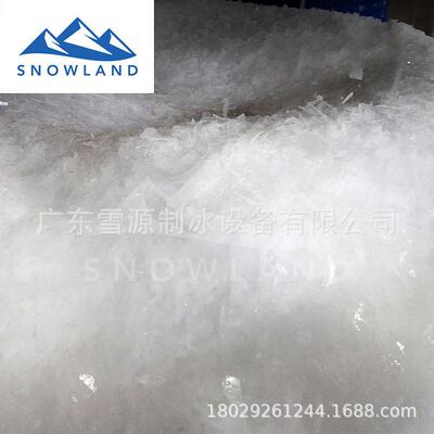 雪源Snowland3吨不锈钢海水片冰机 钢筋混泥土高效降温制冰设备