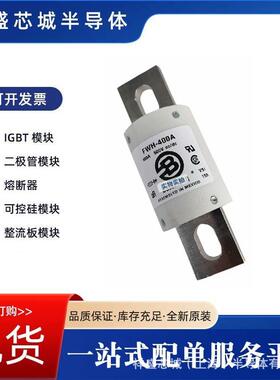 170M6901 170M6902低压快速 直流 熔断器 全新原装 现货速发