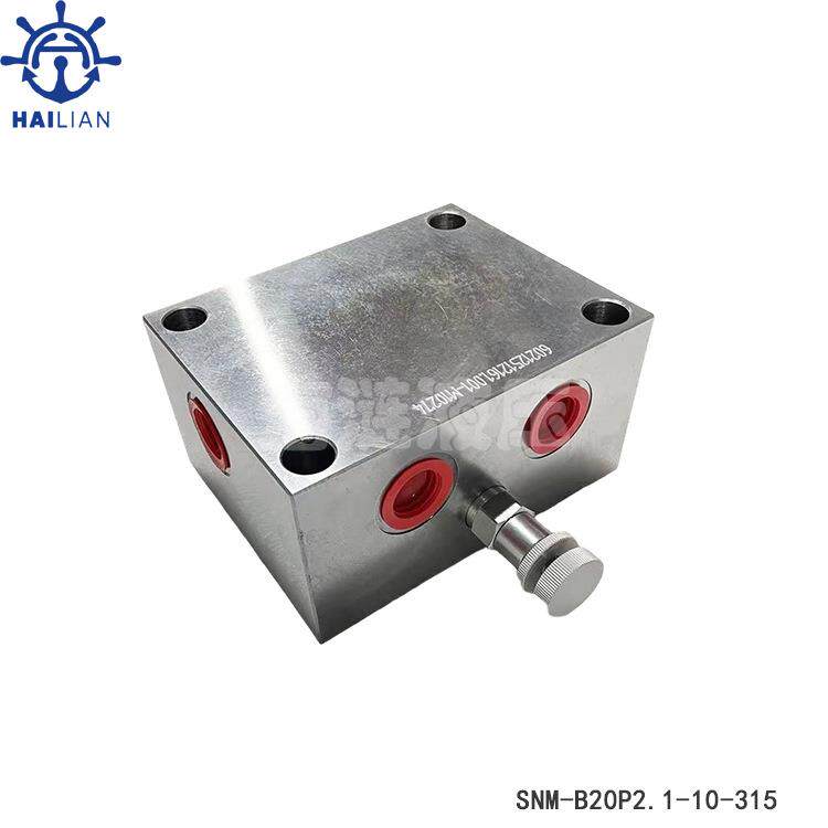 克令吊液压刹车阀B20P2.1-10/315 BRAKE VALVE