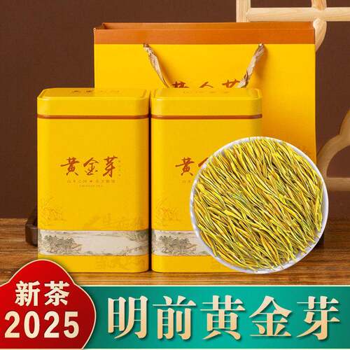 黄金芽2025年新茶绿茶茶叶自己喝散装安吉白茶口粮茶高端礼盒500g