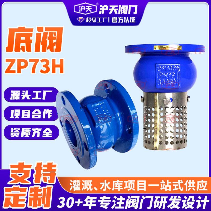 沪天阀门底阀H42X球墨铸铁不锈钢过滤网水泵底阀Bottomvalve