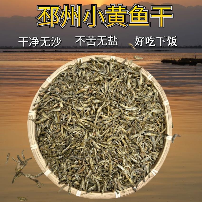 徐州小鱼干 干小黄鱼干 干淡水无盐辣椒炒小鱼干 干炒小鱼邳州小