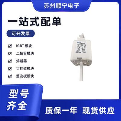 170M7028 170M7031 170M7058 170M7059 170M7064熔断器保险丝