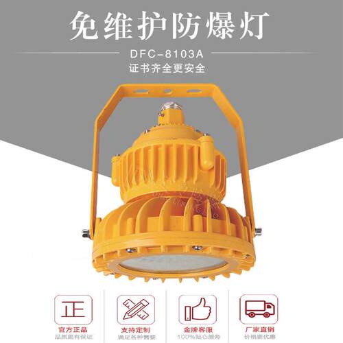 led防腐0W40W50W60W防爆led平台灯护栏法兰弯杆灯三防灯IP66