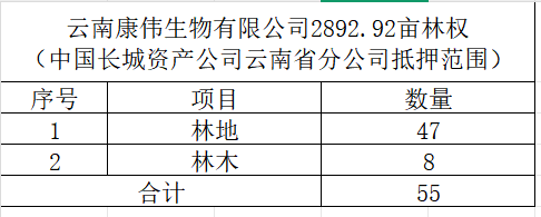 再次拍卖（破）云南康伟生物有限公司2892.92亩林权（中国长城资产公司云南省分公司抵押范围）
