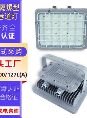 煤矿井下防爆投光灯100W200W矿用隔爆型LED巷道灯DGS100/127L(A)