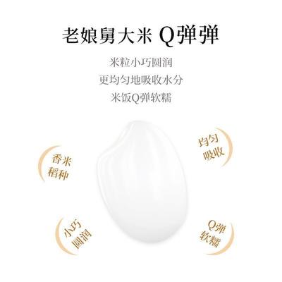 【特惠10斤】老娘舅大米香稻米旗舰店2023年新米新 官方软香米5kg