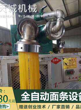 天诚牌商用自熟杂粮面条机 双螺旋挤压米线米粉机