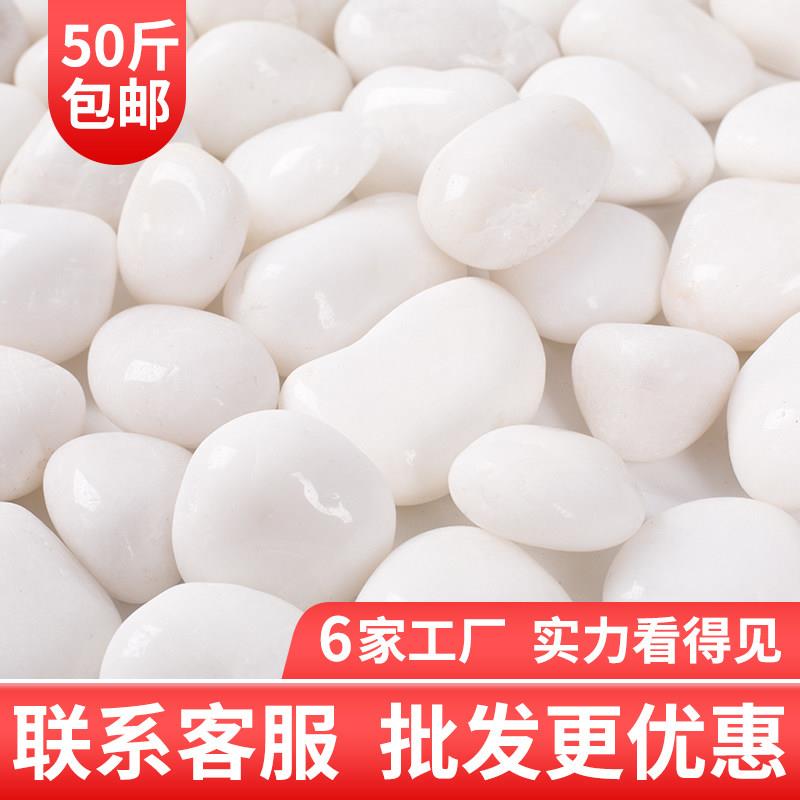 白色鹅卵石抛光白石头铺地雨花石原石庭院花园鱼缸造景天然白石子