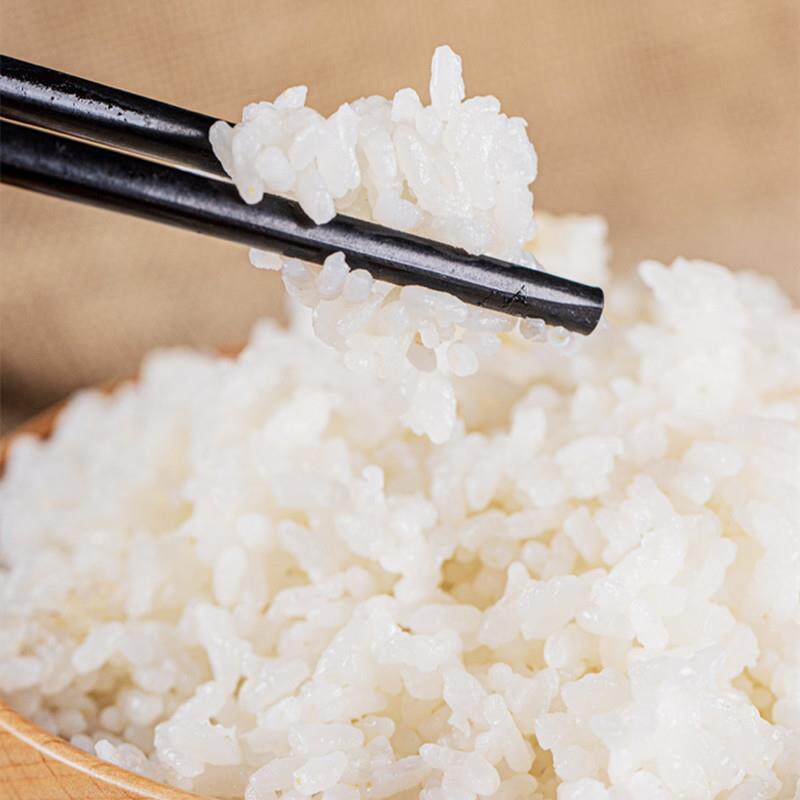 MTJX冲泡即食人造大米生产膨化机黄金大米加工机械设备