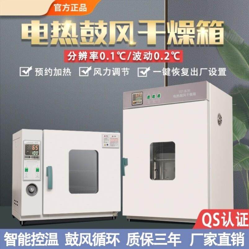 电热恒温鼓风干燥箱实验室烘箱高温小型工业烤箱烘干机电加热商用