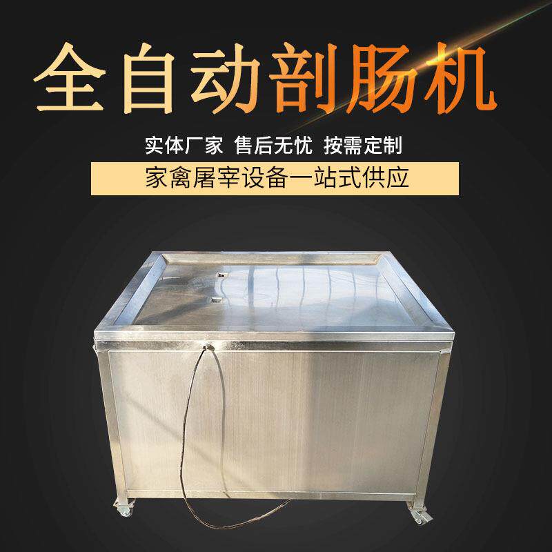 厂家直供禽类剖肠设备鸡肠剖切机全自动不锈钢麻辣鸭肠剖肠机