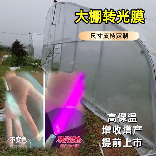 大棚转光膜PO莫朋鹏塑料布保温保暖冬季种莱养殖透明消雾蔬菜花卉