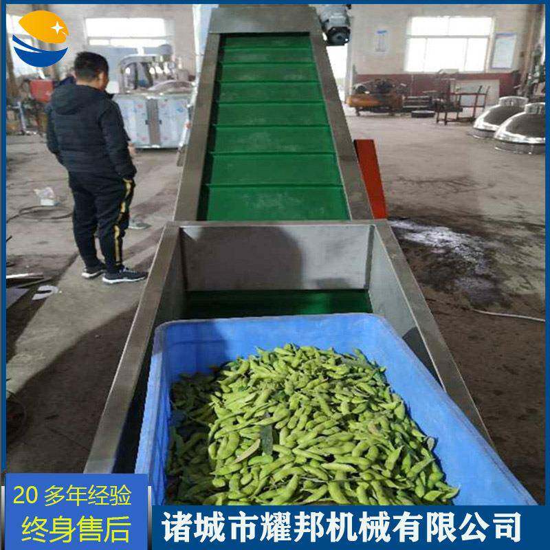 全自动毛豆风选机辣椒筛选清洗设备药材红枣分选风选除杂去石机