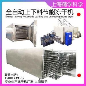 大型冻干机宠物食品鸡肉鸭肉鱼类蔬菜水果全自动真空冻干机