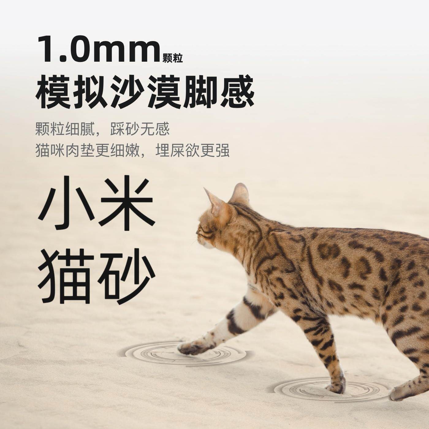 20斤超细小米砂小颗粒猫砂10斤膨润土低尘结团除臭不粘底猫沙特价