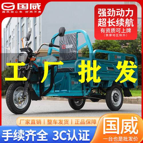 国威电动三轮车载重王爬坡山区家用大功率摆摊拉货农用三轮电瓶车
