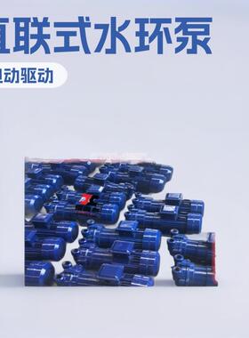 抽水真空泵菏泽 SKA2BV5131 直联式水环真空泵水环式真空泵真空泵