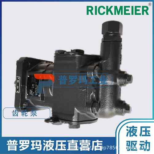 瑞克梅尔RICEKMIER齿轮泵R450/10-FLSFFZ-W-SAE2-R-SO油泵