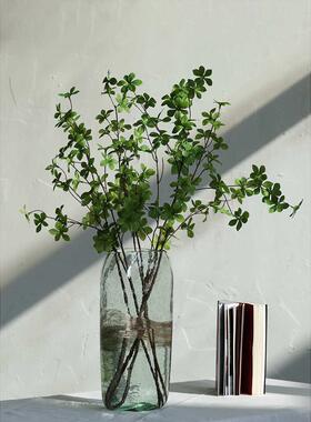 客厅花瓶器花瓶轩碧花气泡新品玻璃器插花雨季桌面欧式装饰气泡
