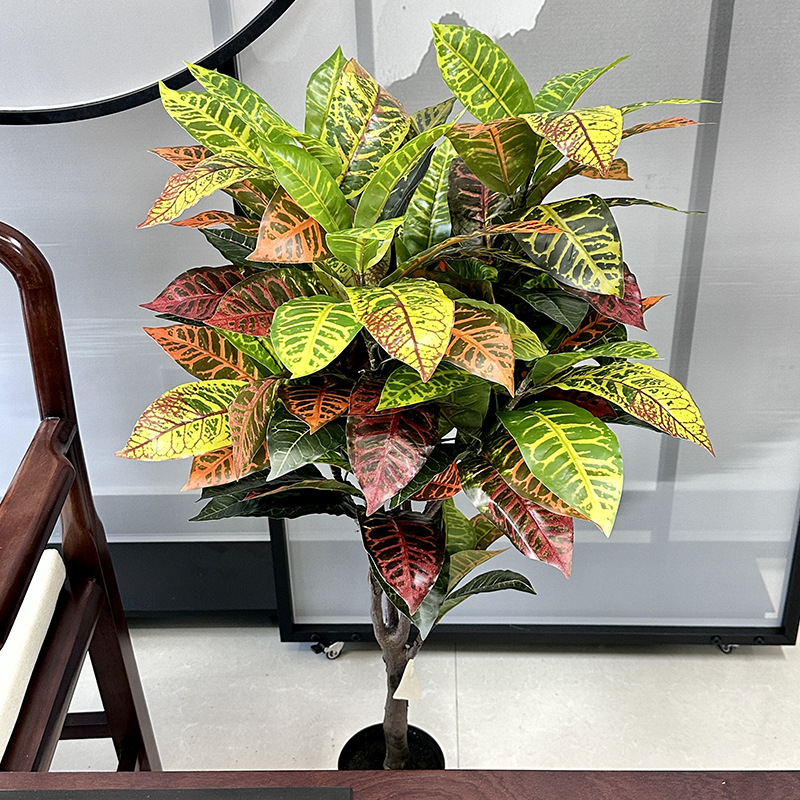 新多公规洒金榕格洒仿金榕真植物办室内装饰款落地造景大型绿植盆