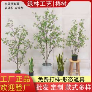 仿真椿树高档美式加密款落地植物橄榄树盆景摄影道具装饰盆栽