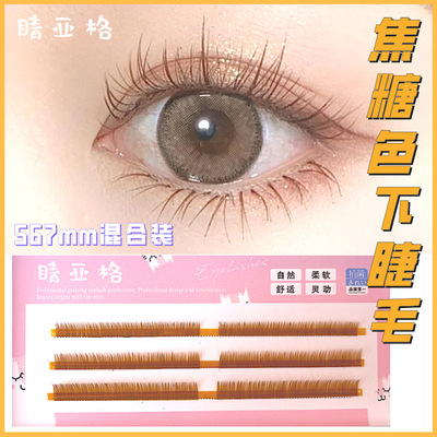 假睫毛眼睫毛焦糖水貂种植假睫毛