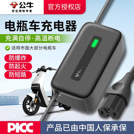 公牛电动车电瓶充电器60v72v20ah适用雅迪台铃铅酸，电车三轮车通用