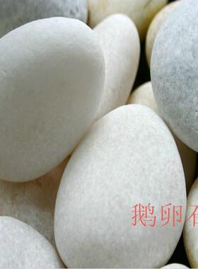 园林 造景 铺路鹅卵石 白色鹅卵石白色洗米石造景用白色石子