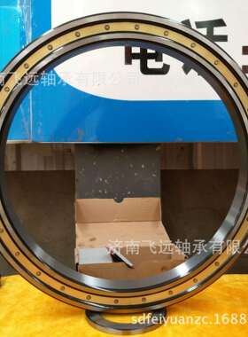 NF1036X2WCM/P5非标圆柱滚子轴承 12736