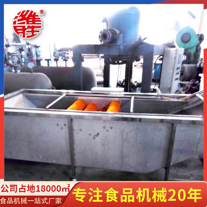 商用果蔬翻浪式清洗机设备翻浪式清洗机设备全自动清洗机设备