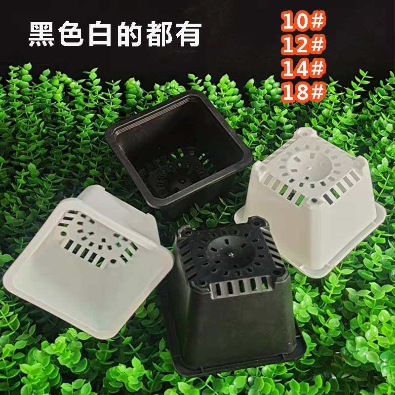 景天盆黑方白方多肉育苗盆基地花盆加厚电商黑色白色方盆批发