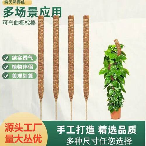跨境DIY造型爬藤支架可弯曲定形绿萝 龟背竹用园艺支柱变形椰棕棒