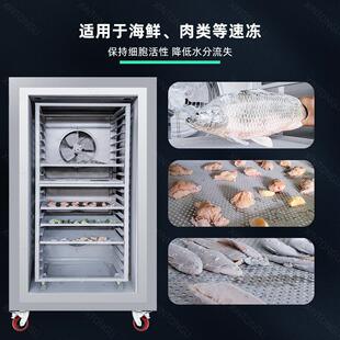 速柜小型速商用肉类冻设多备用途全冻836自动商用速冻 鸡肉液氮式