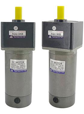 DM微型直流光轴电机12V24V90V180V单相齿轮减速机马达现货
