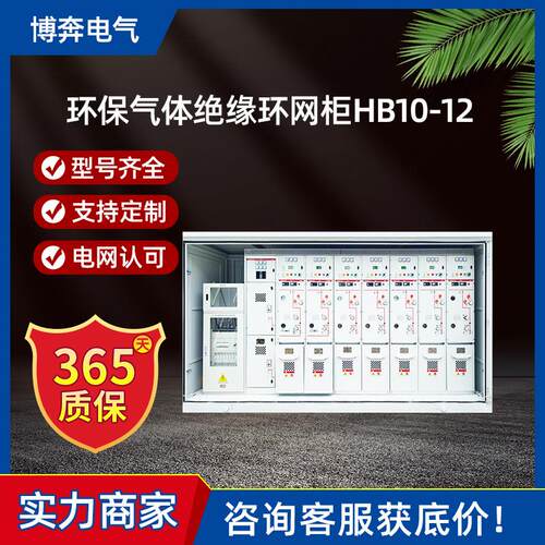 环保气体绝缘环网柜HB10-12高压开关柜10-12KV带开关型电缆分支箱