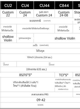 麦口罩 PRS SE Custom 24 Silver Sky CE24 NF3电吉他摇滚进阶