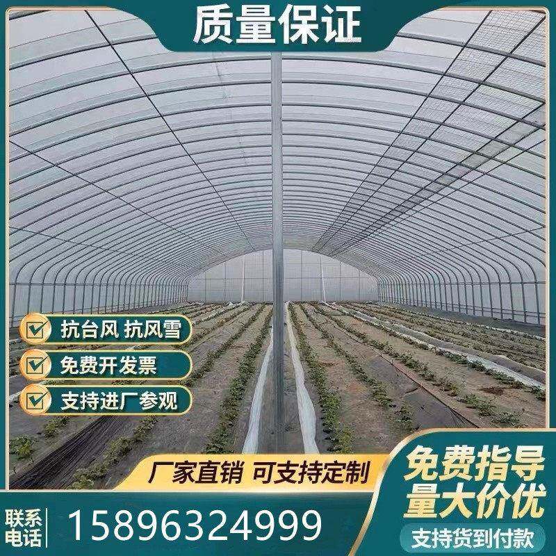椭圆管温室大棚养殖蔬菜保温种植简易连栋棚全套热浸镀锌钢管骨架