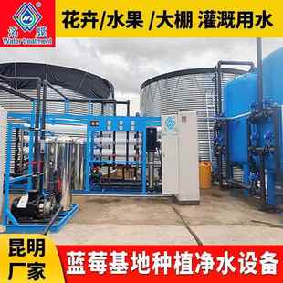 蓝莓种植用水净水设备反渗透RO纯水设备大棚蔬菜水果种植净水设备