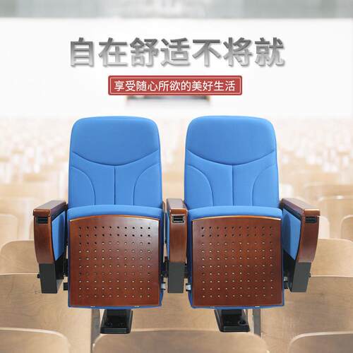 诗远礼堂椅排椅影剧院椅阶梯报告厅椅公共座椅多位联排椅P505FDJ