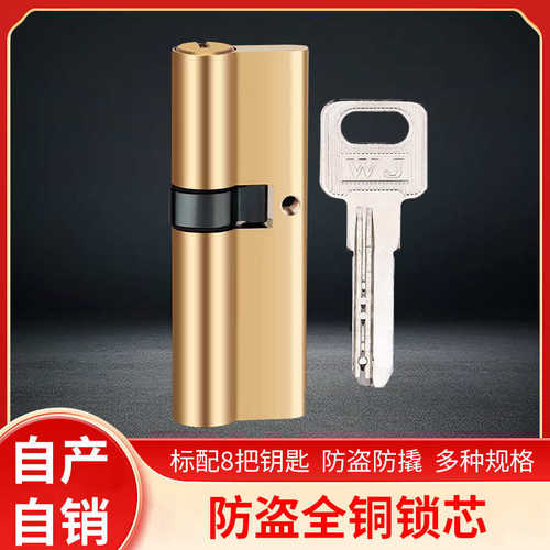 防盗门锁芯入户门大门锁芯WJ全铜锁心通用型AB锁芯卡巴锁芯