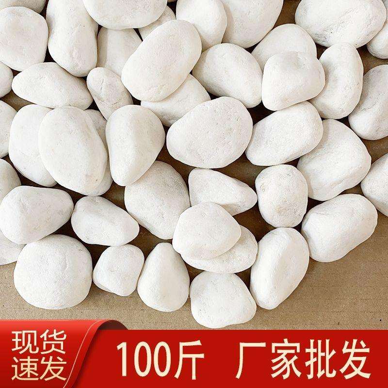 100斤白石子白色鹅卵石庭院造景白石头铺路花园阳台铺地白色砾石