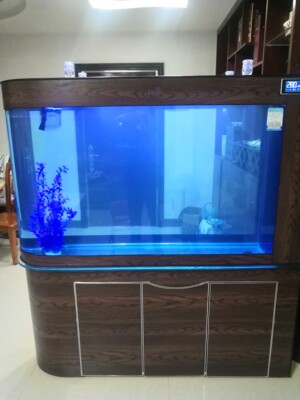 德国德克**头鱼缸怎么样用后告诉大家实情