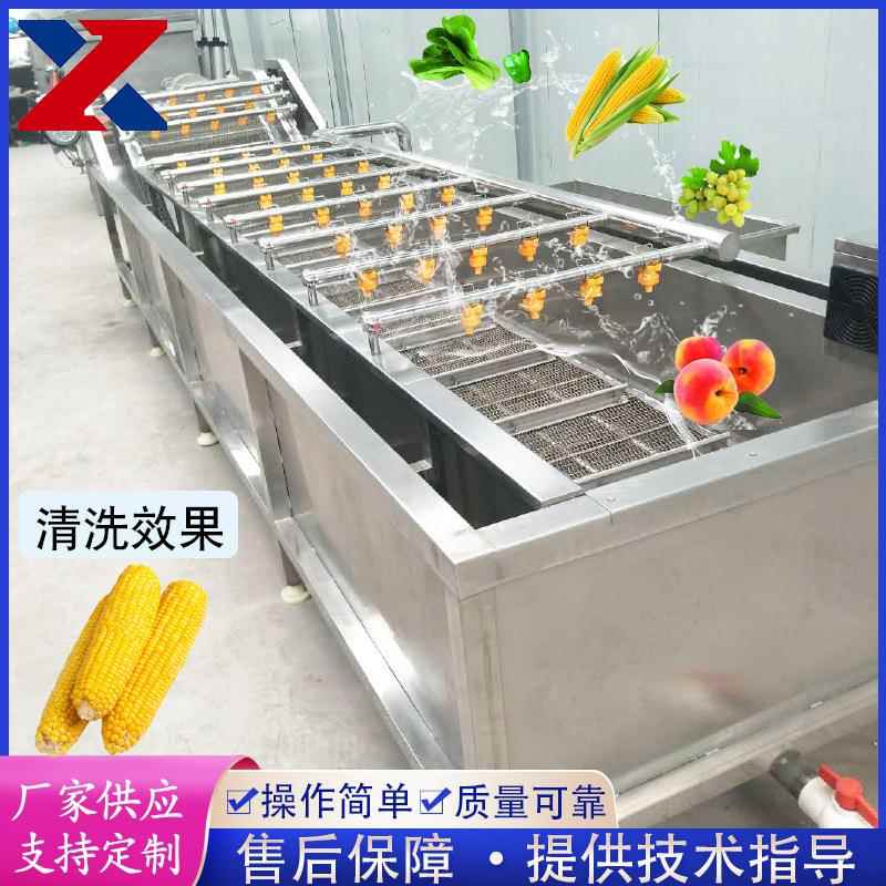 供应全自动果蔬清洗机 蓝莓粽叶清洗设备 不锈钢玉米气泡清洗机