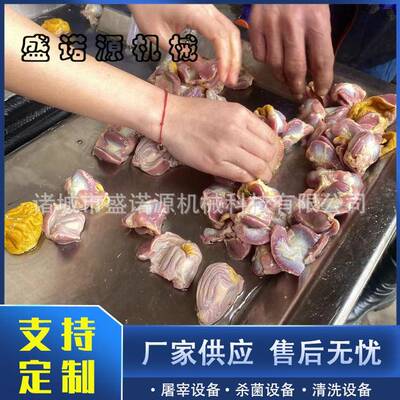 供应双四辊鸡胗去黄皮剥鸡胗机家禽屠宰鸡鸭剥胗机鸡胗剥皮机