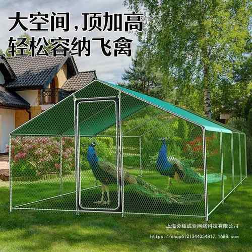 组养殖鸡笼子装鸡鸡笼德养家用鸽子笼简易鸡棚大棚室CEE外屋窝搭