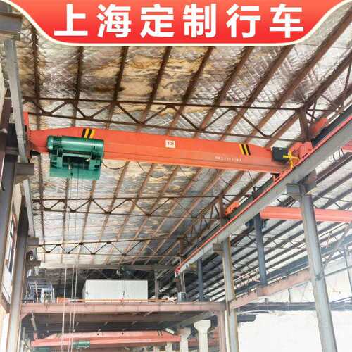 上海5吨低净空式行车LDP型偏挂小车式10吨行吊地面遥控操作