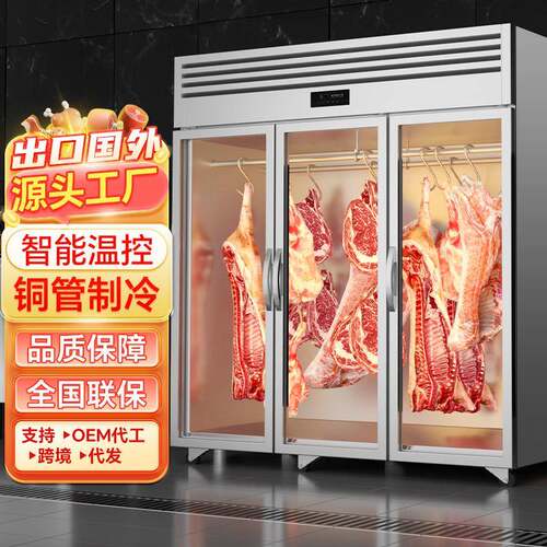 挂肉柜商用牛羊肉保鲜柜冷鲜肉猪肉排酸柜立式熟成柜吊肉冰柜
