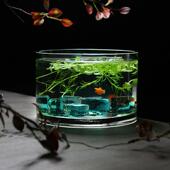 桌面圆形玻璃鱼缸小型鱼缸客厅玻璃花瓶金鱼缸乌龟缸圆柱形加厚