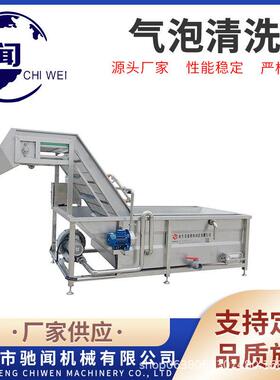 全自动油桃毛桃清洗机水果洗果机气泡冲浪式油柑酸喷淋清洗设备